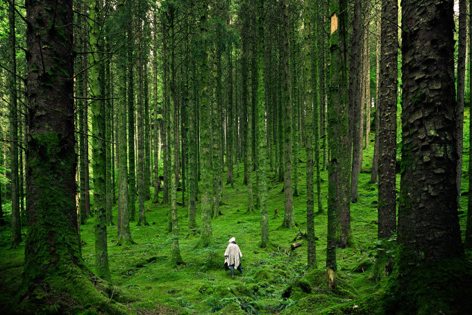 Can’t see the robots for the trees?